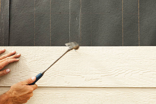 Best Aluminum Siding Installation  in Lake Park, IA